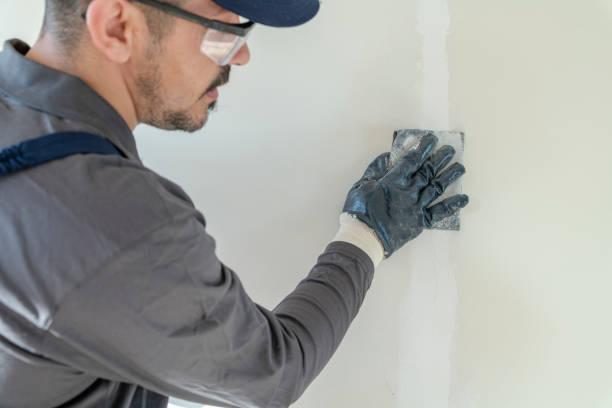 Best Eco-Friendly and Low-VOC Painting  in Santa Cruz, CA